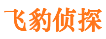 绥江侦探公司